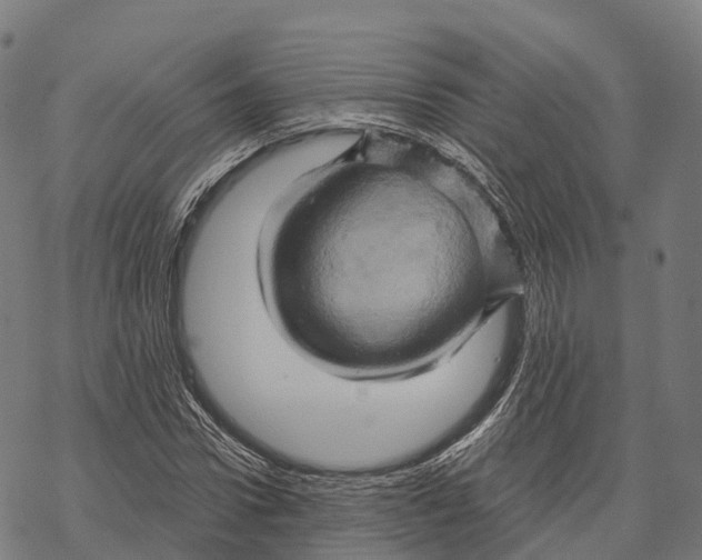 X0000068860922200605261727