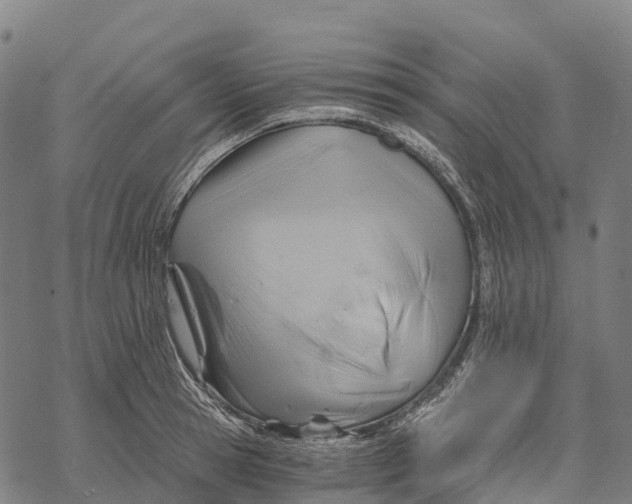 X0000068860945200605261727