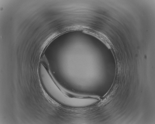 X0000068860946200605261727