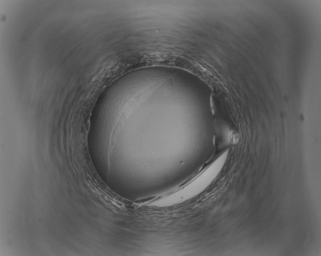 X0000068860961200605261726
