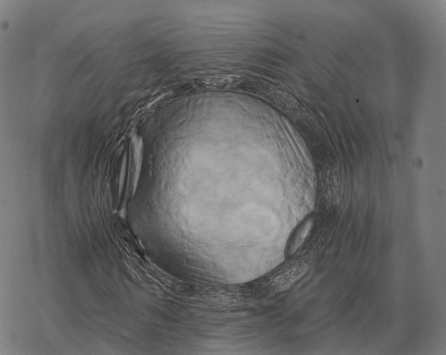 X0000068860962200605261726