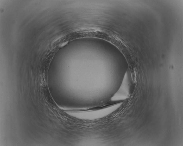 X0000068860965200605261726