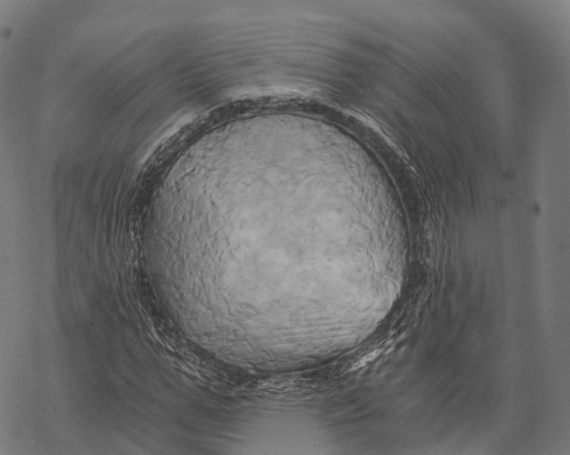 X0000068860967200605261726