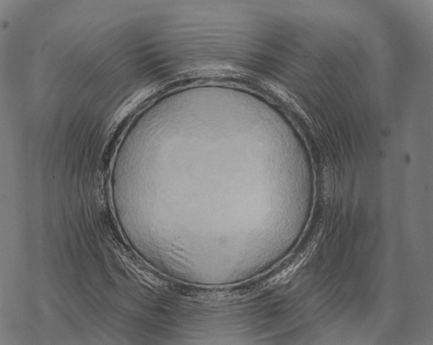 X0000068860970200605261726