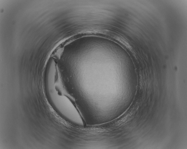 X0000068860984200605261726