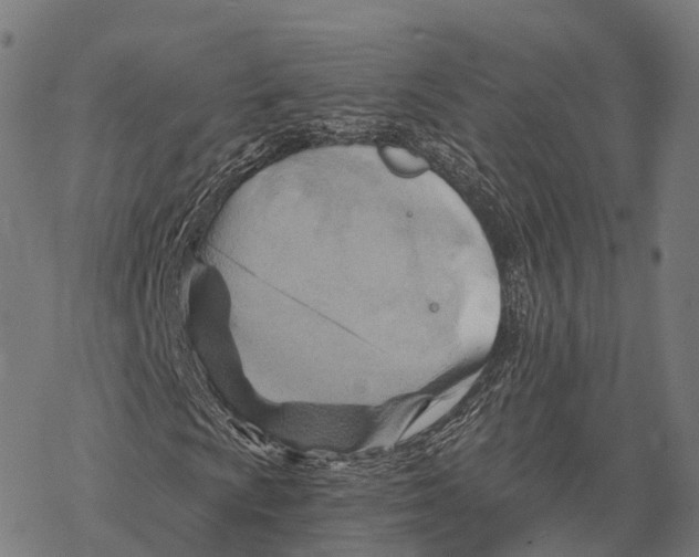 X0000068861009200605261725