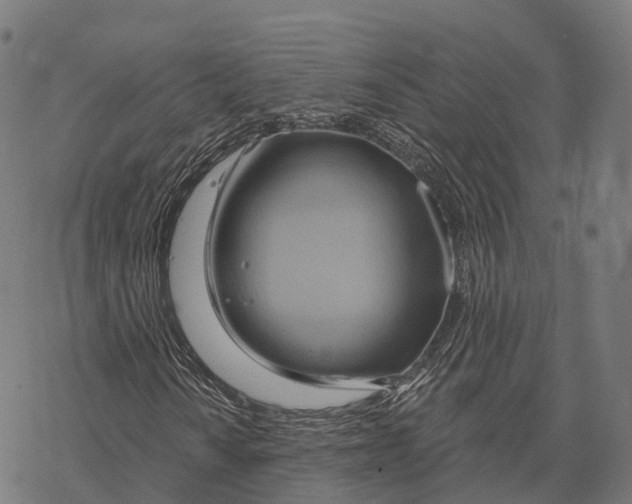 X0000068861010200605261725