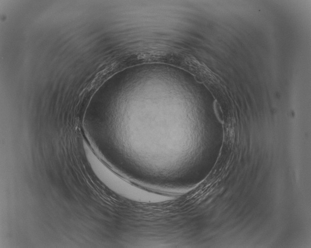 X0000068861012200605261725