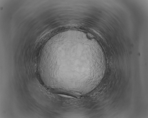 X0000068861015200605261725