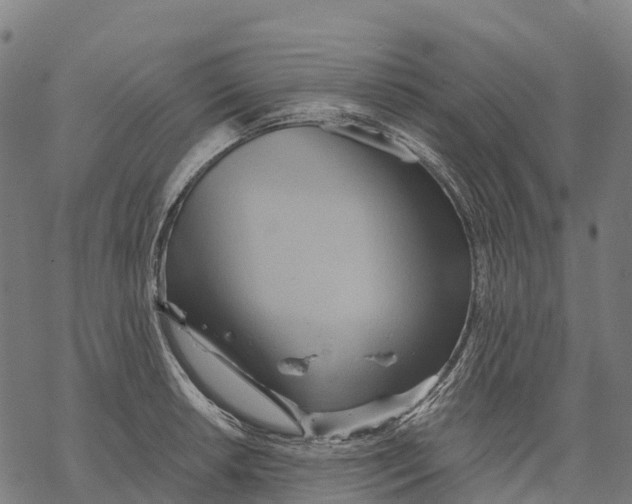 X0000068861042200605261725