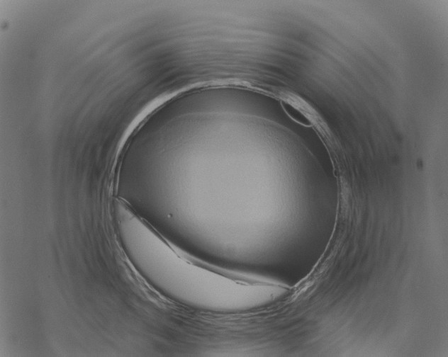 X0000068861052200605261726