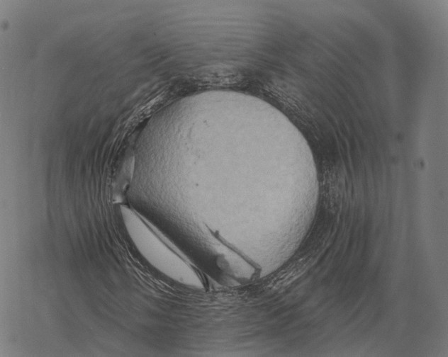 X0000068861058200605261725