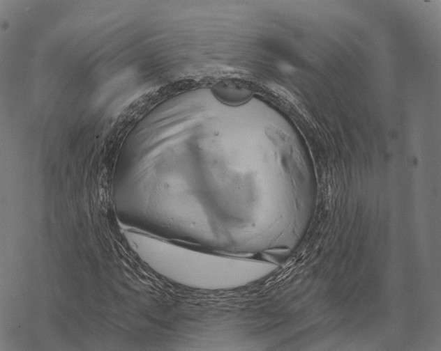 X0000068861063200605261725