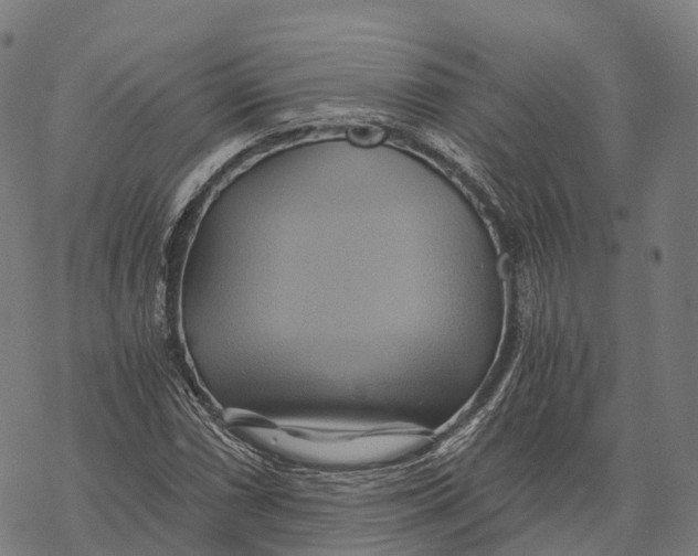 X0000068861066200605261725
