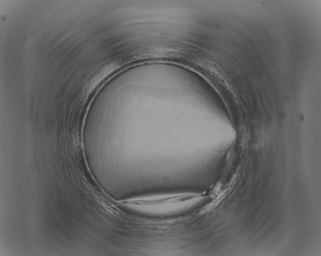 X0000068861073200605261725