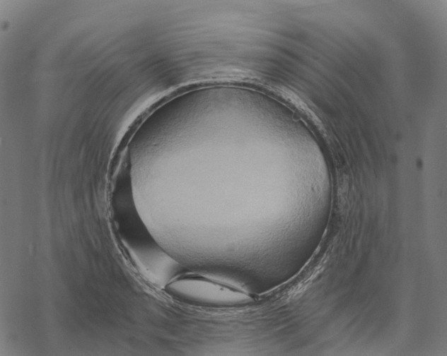 X0000068861085200605261724