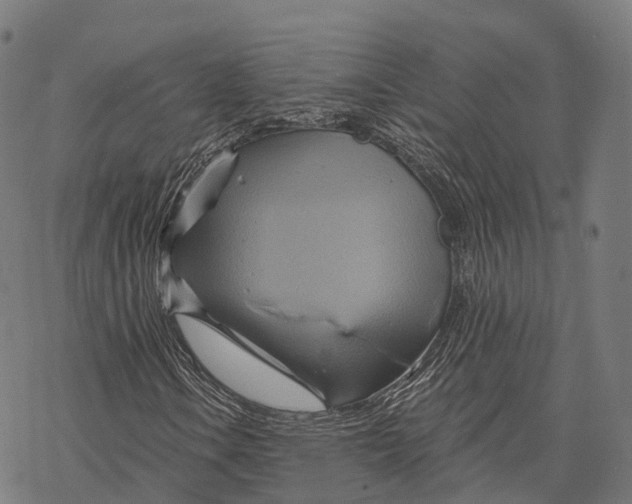 X0000068861106200605261723