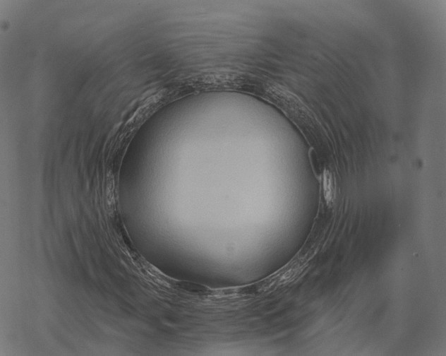 X0000068861107200605261723