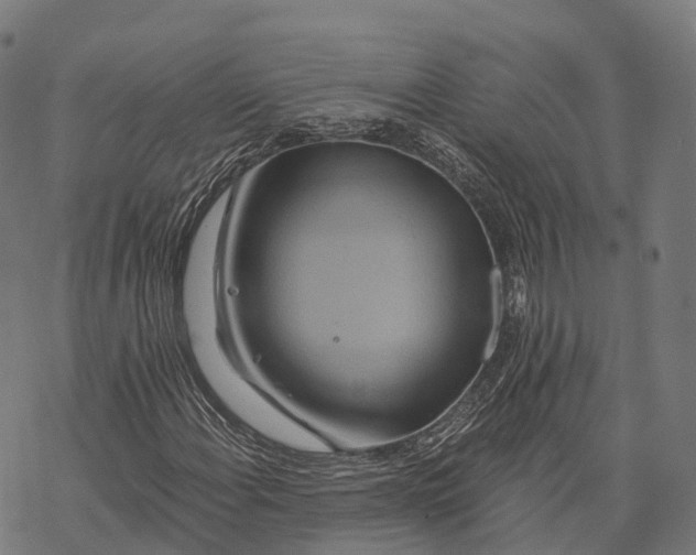 X0000068861108200605261723