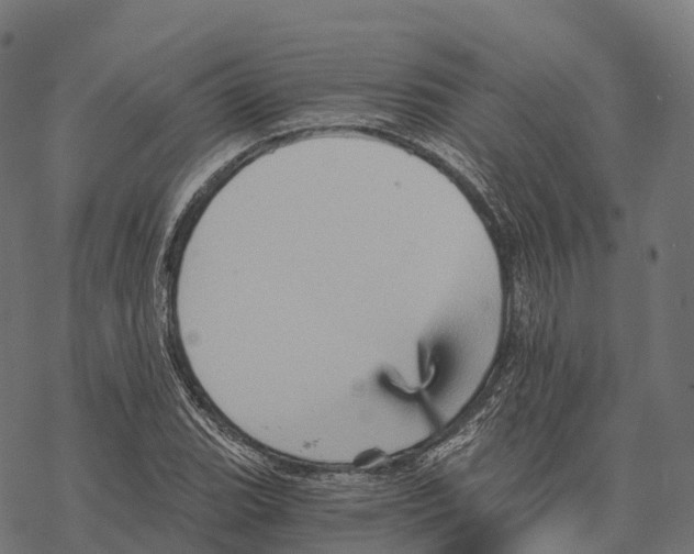 X0000068861119200605261724
