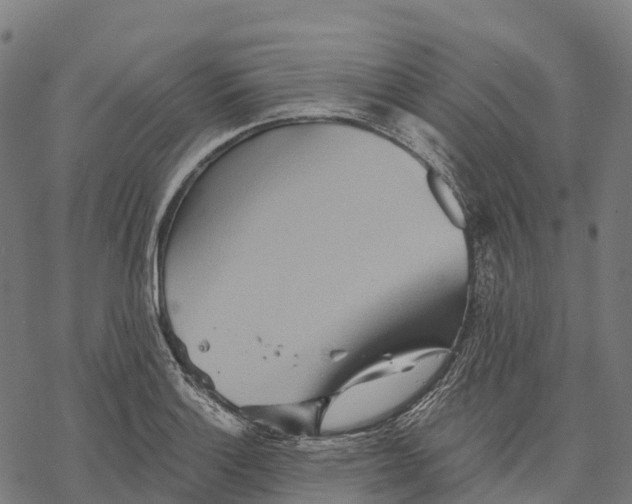 X0000068861132200605261724