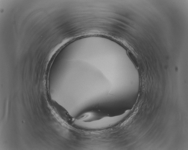 X0000068861134200605261724