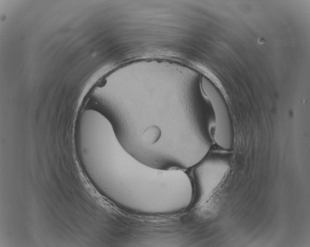 X0000068861138200605261724