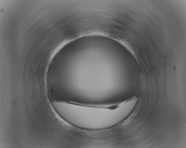 X0000068861151200605261724