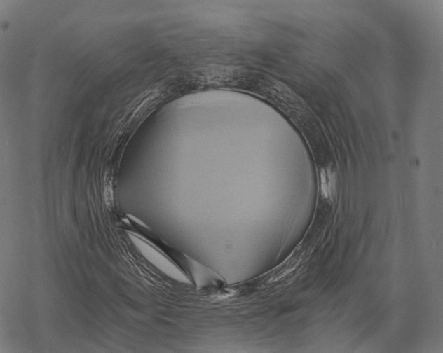 X0000068861155200605261723