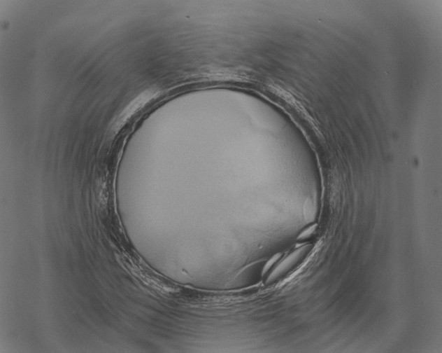 X0000068861163200605261723