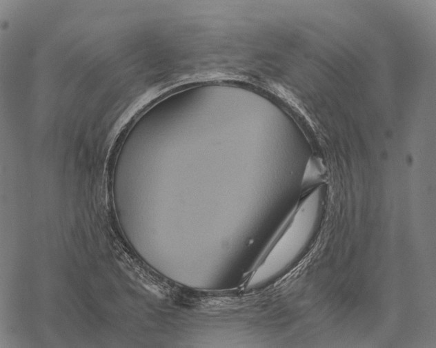 X0000068861173200605261723