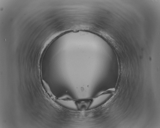 X0000068861184200605261723