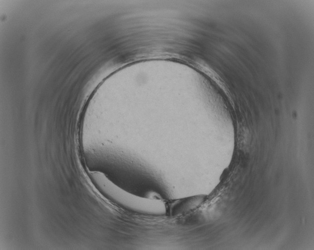 X0000068861187200605261723