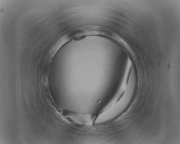 X0000068861193200605261723