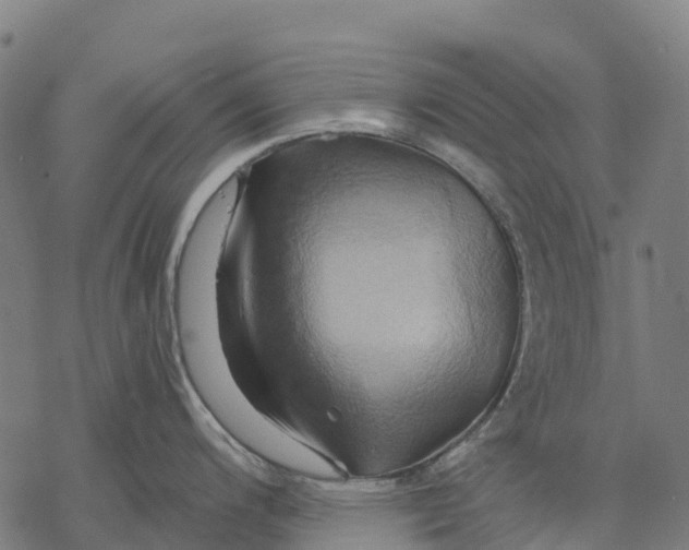 X0000068861200200605261723