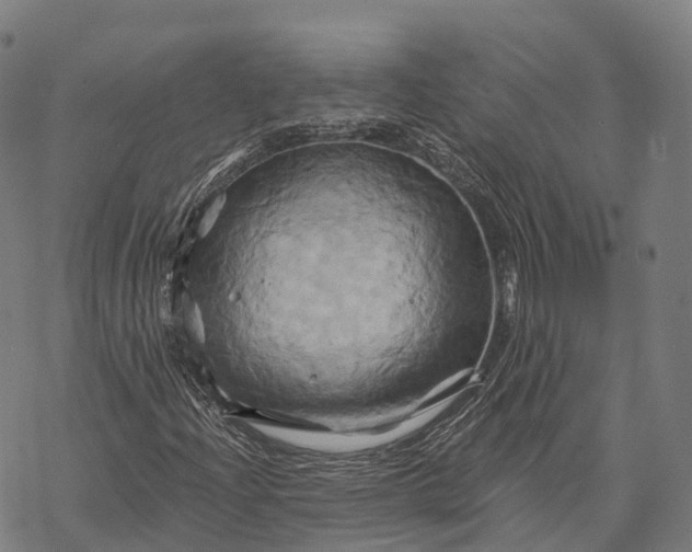 X0000068861204200605261722