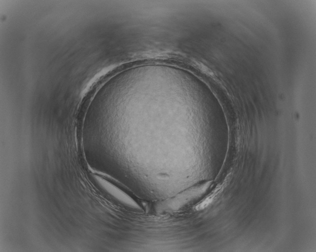 X0000068861214200605261722