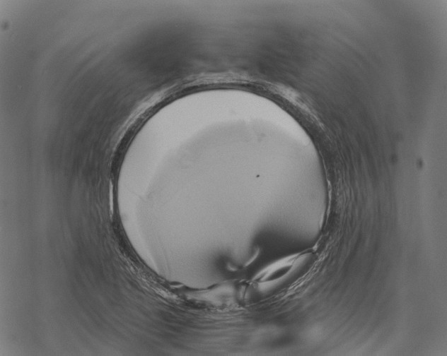 X0000068861221200605261722