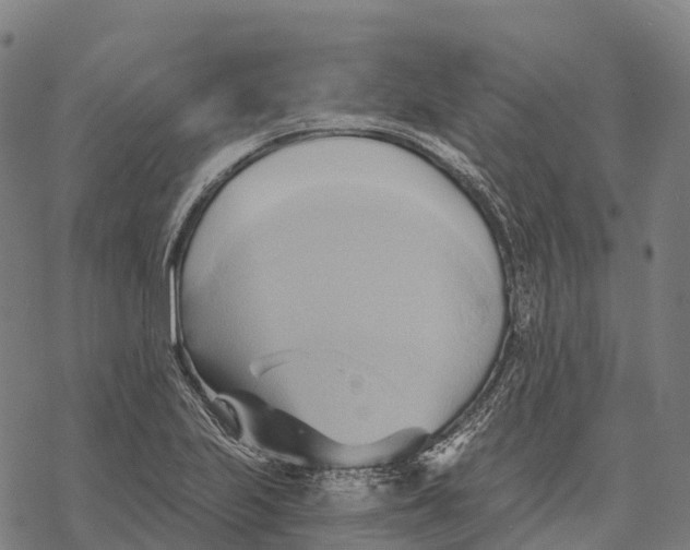 X0000068861223200605261722