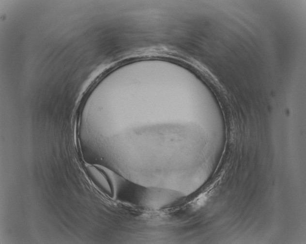 X0000068861224200605261722