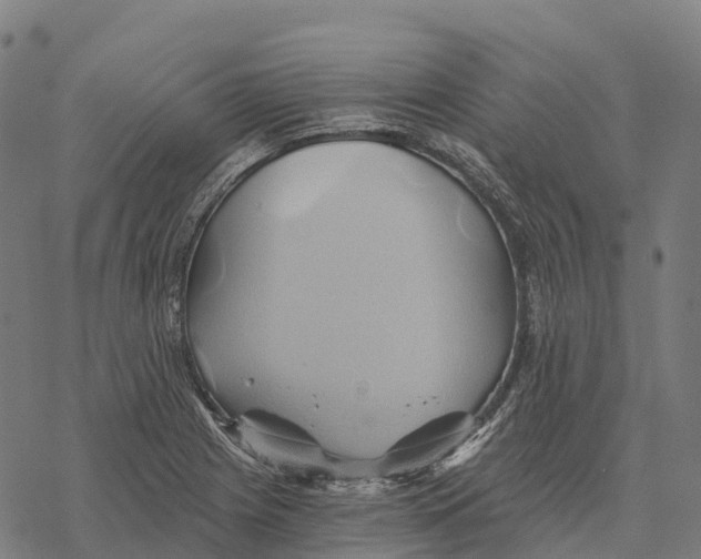 X0000068861225200605261722