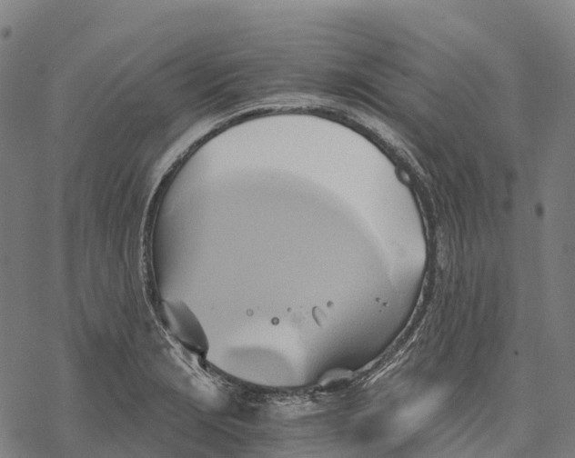 X0000068861229200605261722