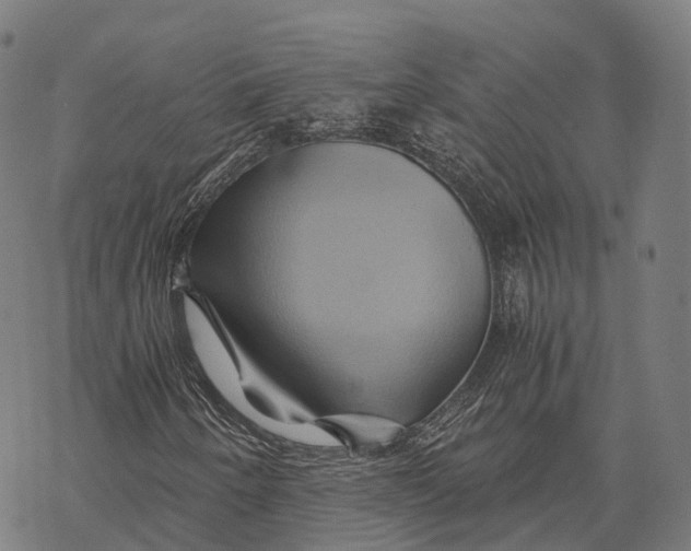 X0000068861250200605261722