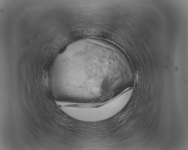 X0000068861251200605261722