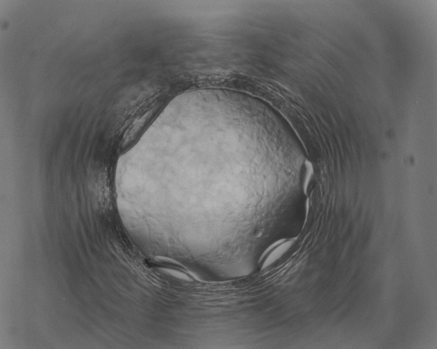 X0000068861252200605261722