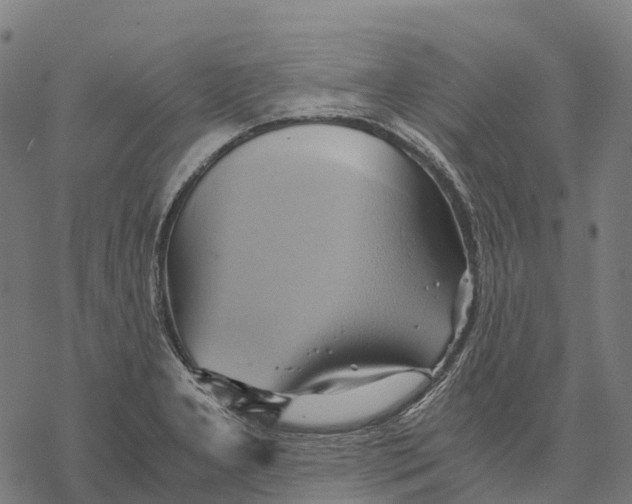 X0000068861277200605261721