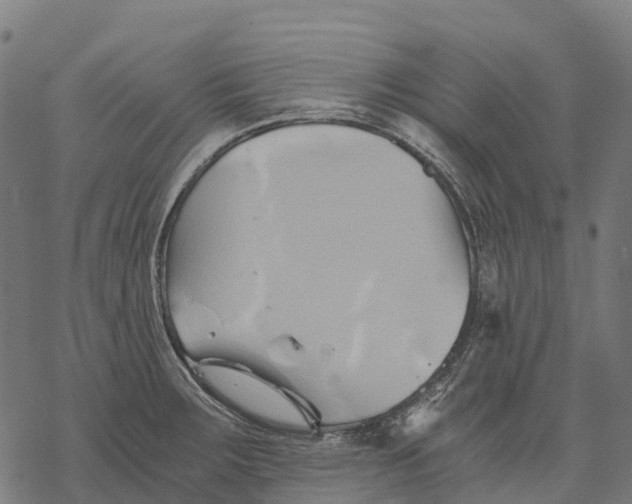 X0000068861283200605261721