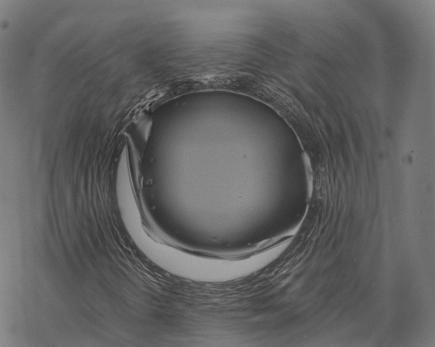 X0000068861298200605261720