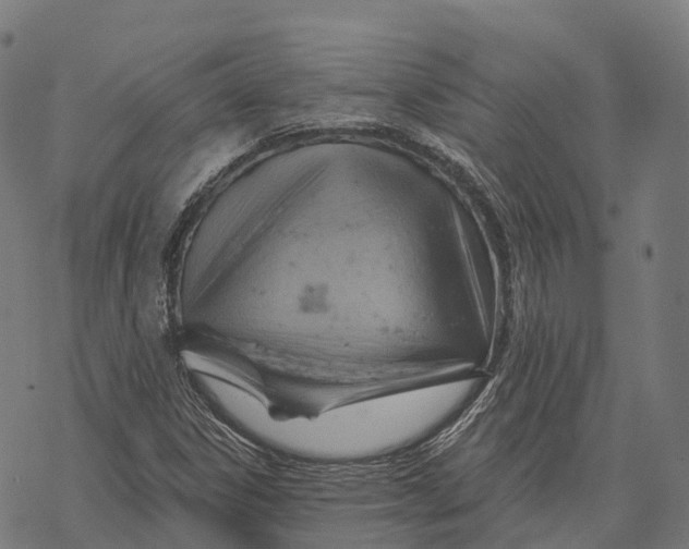 X0000068861306200605261720