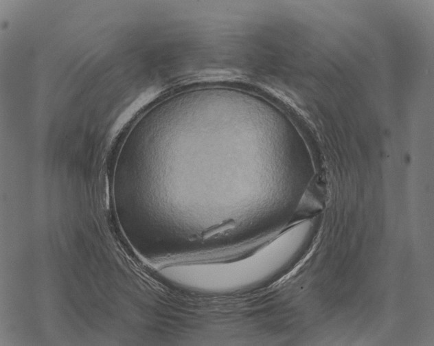 X0000068861317200605261721